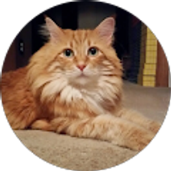 Profile photo of Steve Evans