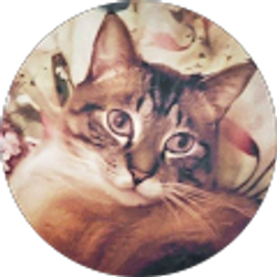 Profile photo of Janet Pucik