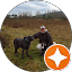 Profile photo of Louis Maggiulli