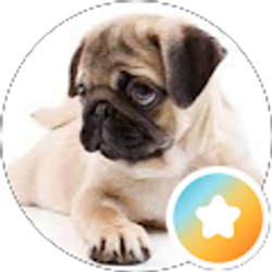 Profile photo of jh k