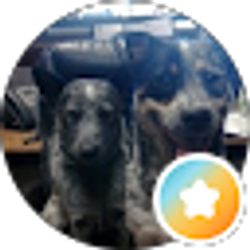 Profile photo of Nachadog taulker
