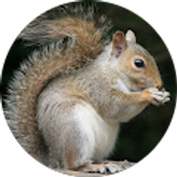 Profile photo of Lisa Weddle