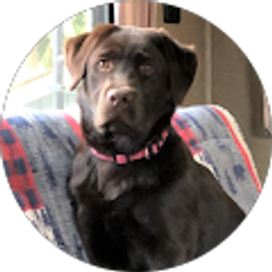 Profile photo of Josh & Stephanie Thompson