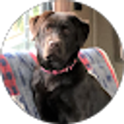 Profile photo of Josh & Stephanie Thompson