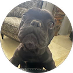 Profile photo of Jazzy