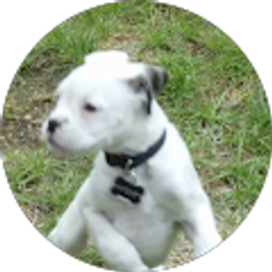 Profile photo of Nate