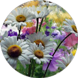 Profile photo of Linda Cde Baca