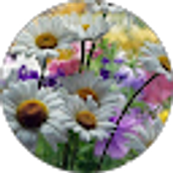 Profile photo of Linda Cde Baca