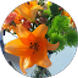 Profile photo of Melissa Larson