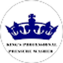 Profile photo of King's Professional Pressure Washer