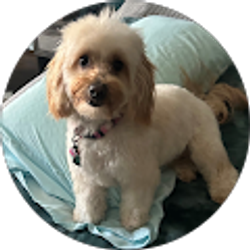 Profile photo of Carla Cruz (BodybyCarla)