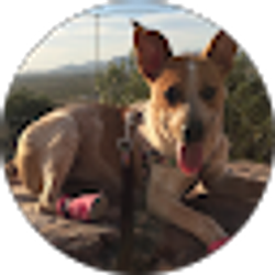 Profile photo of Michelle Johnson