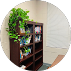 Profile photo of Y L