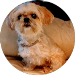 Profile photo of Karen Kolodziej