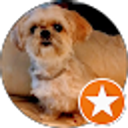 Profile photo of Karen Kolodziej