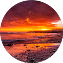 Profile photo of Melvin Hernandez