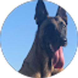 Profile photo of Mike Mike