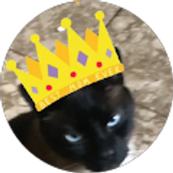 Profile photo of Nick Young