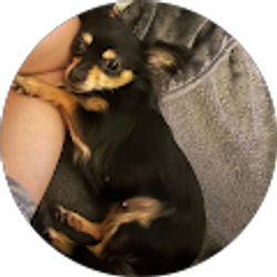 Profile photo of Zach Cope