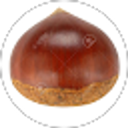 Profile photo of Peter Chestnut