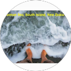 Profile photo of Peter Torzilli