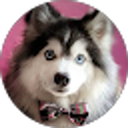 Profile photo of Amber H