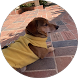 Profile photo of James Tsan