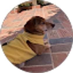 Profile photo of James Tsan