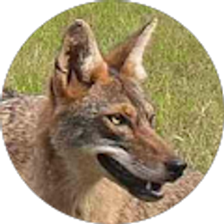 Profile photo of Gordon McFarland