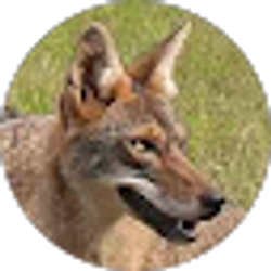 Profile photo of Gordon McFarland