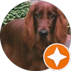 Profile photo of Mike Gallagher