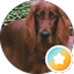 Profile photo of Mike Gallagher