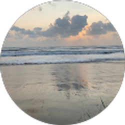 Profile photo of A R