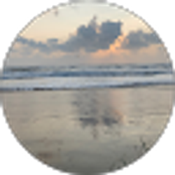 Profile photo of A R