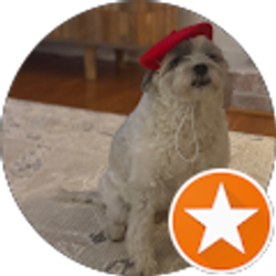 Profile photo of Ami Benson