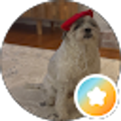 Profile photo of Ami Benson