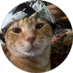 Profile photo of Mominah Kasim