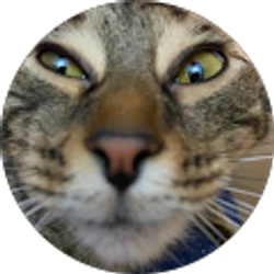 Profile photo of Morgan Rothe