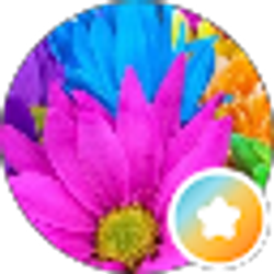 Profile photo of Little Star