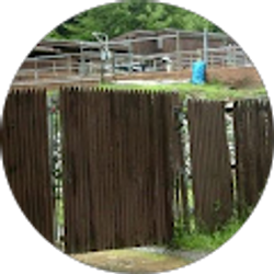 Profile photo of Cameron Juhlin