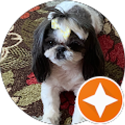 Profile photo of Karen Stuart