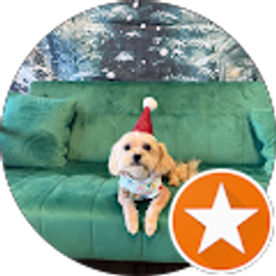 Profile photo of Ash D