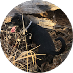 Profile photo of Ryan Bekke