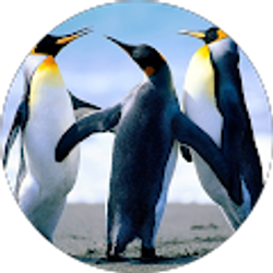 Profile photo of Liam Hernandez