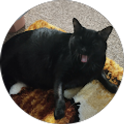 Profile photo of Amanda