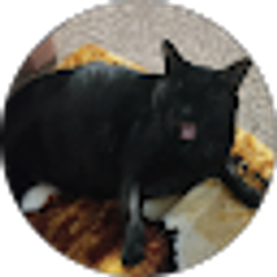 Profile photo of Amanda