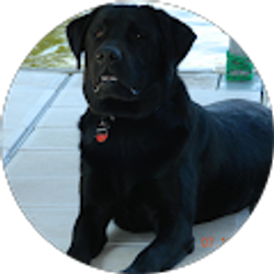 Profile photo of Tracy Jannenga