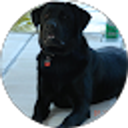 Profile photo of Tracy Jannenga
