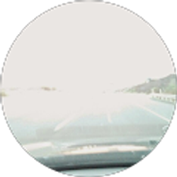 Profile photo of Annette Frese