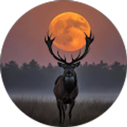 Profile photo of Dawna Shupe